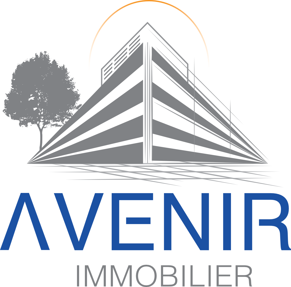 Avenir Immobilier